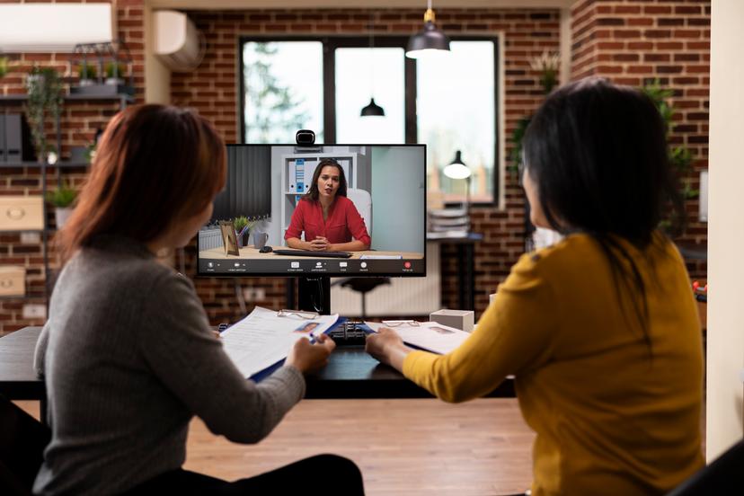Split screen view of a professional video conference call